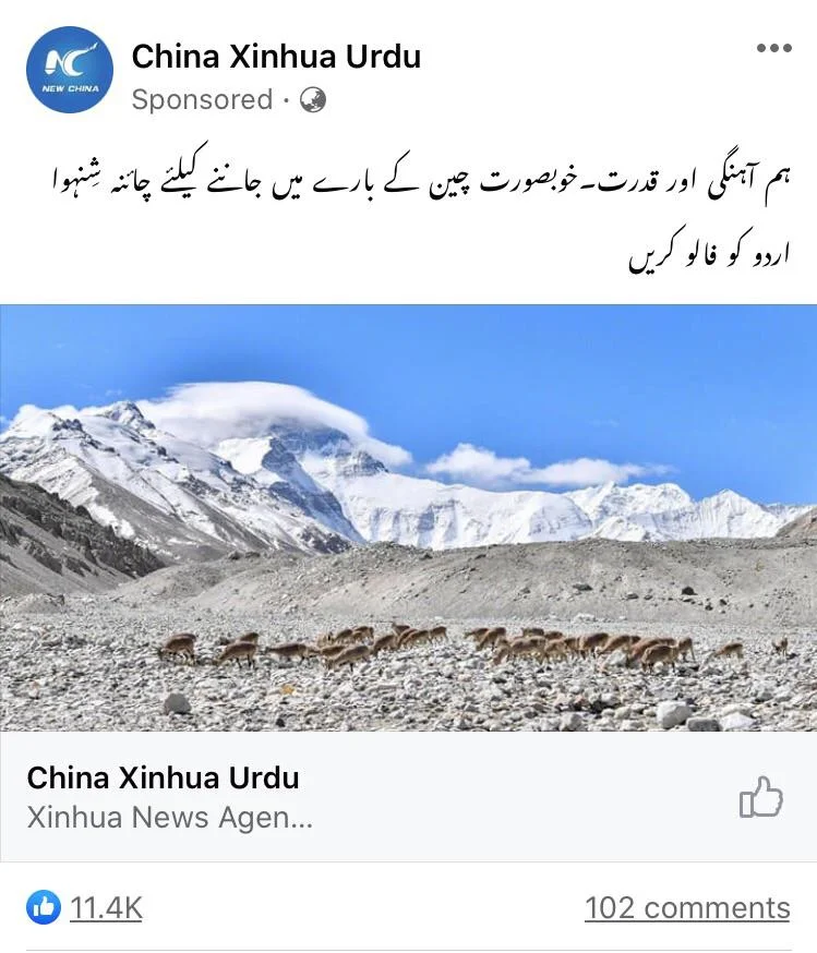چينی پروپگینڈا مہم کی ايک جھلک