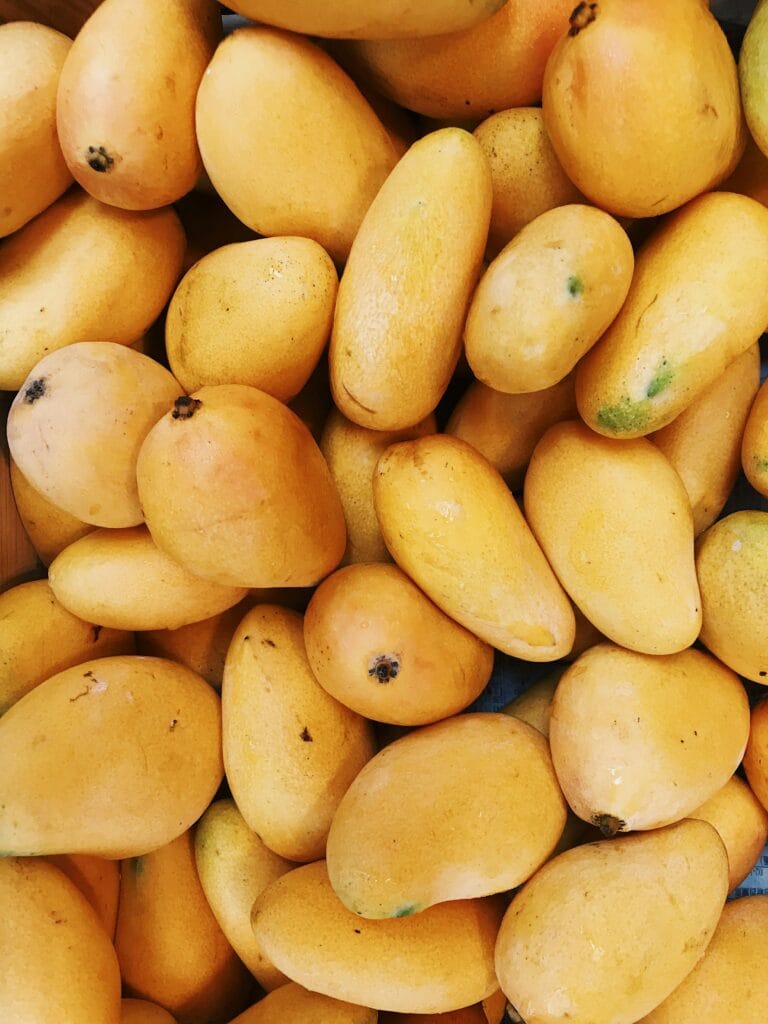 مینگو